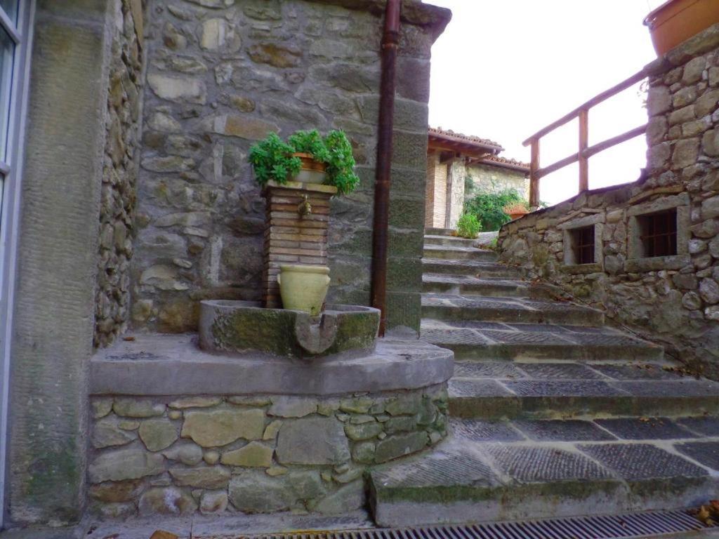 فيلا Il Pianetto Pieve Fosciana المظهر الخارجي الصورة